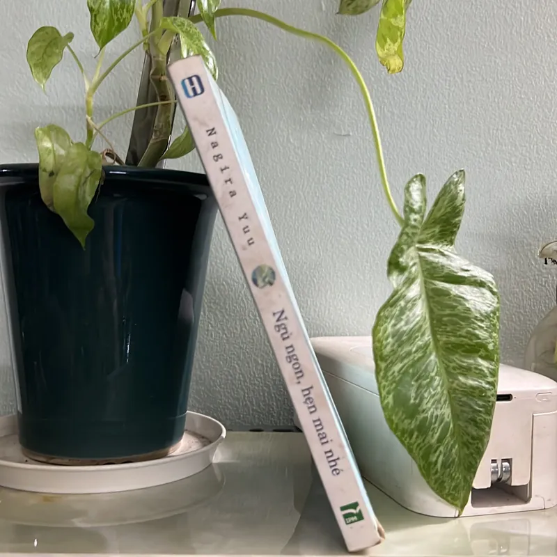 Ngủ ngon hẹn mai nhé - Nagira Yuu - [80-> 20] 736378