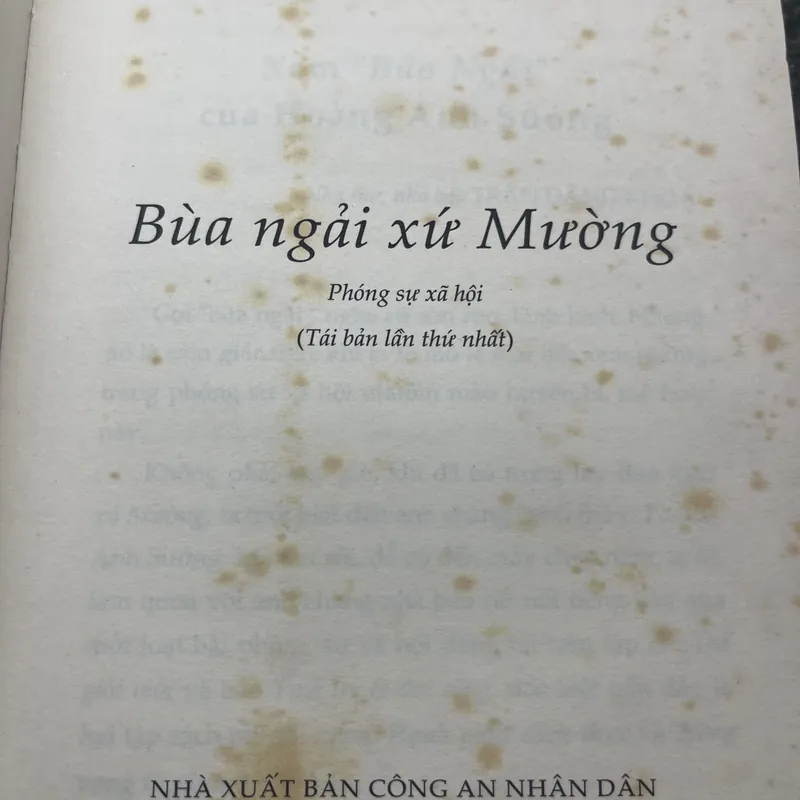 Bùa ngãi xứ Mường Hoàng Anh Sướng 720089