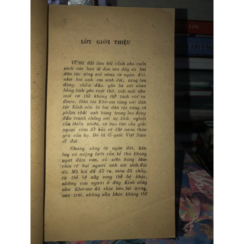 Cây sầu đâu sinh đôi - Trúc Phương  976169