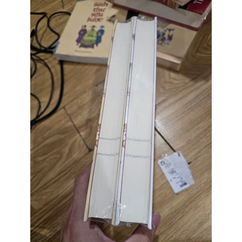 Trọn bộ 2q Nhạc Phi diễn nghĩa tập 1,2 (bìa cứng)
217k 786263