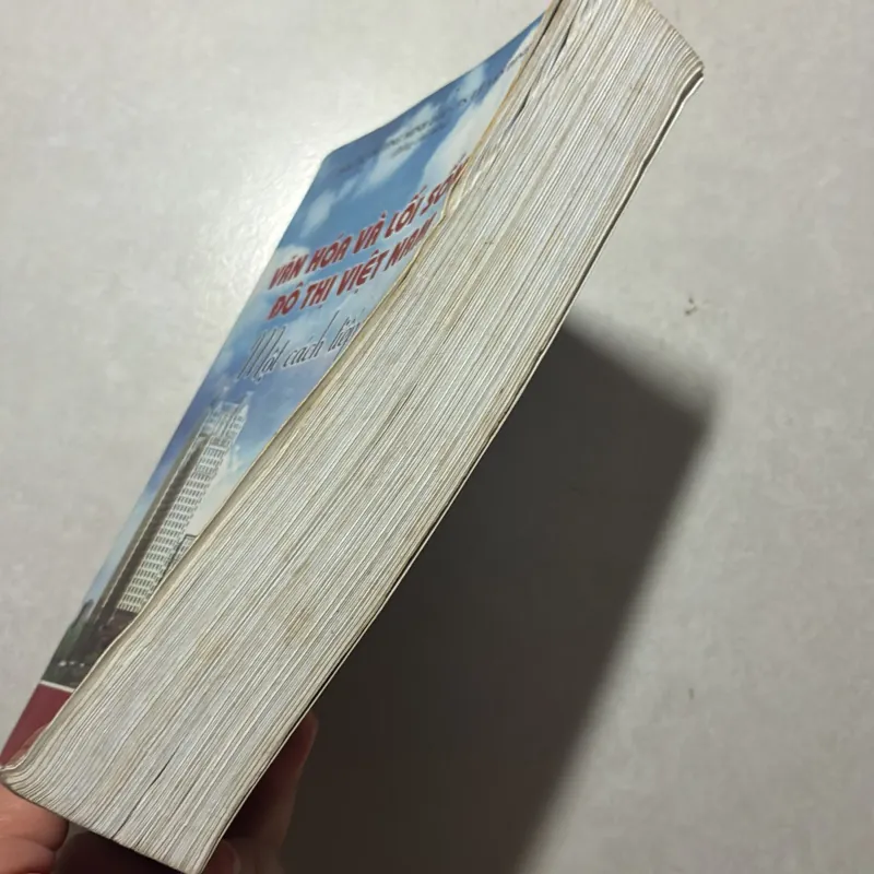 Văn hoá và lối sống đô thị Việt Nam - Trương Minh Dục 791933