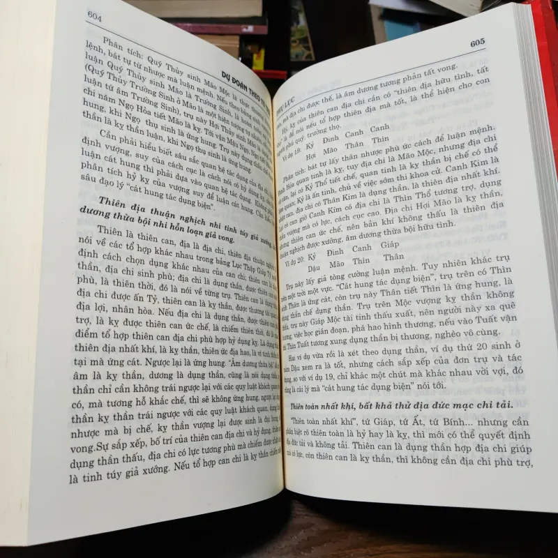 Dự Đoán Theo Tứ Trụ - Thiệu Vĩ Hoa  1021247