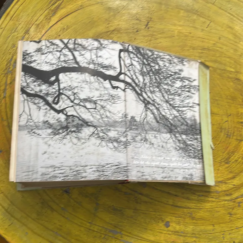 ĐẠI TỪ ĐIỂN ANH - VIỆT ENGLISH- VIETNAMESE DICTIONARY  702741