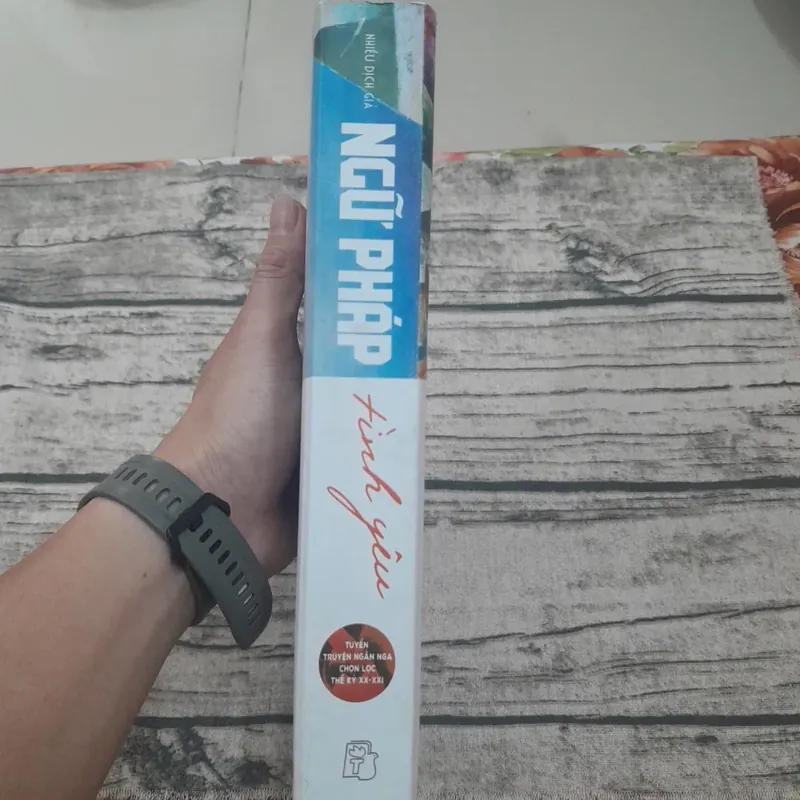 Ngữ pháp Tình yêu. Tuyển truyện ngắn Nga chọn lọc TK 20-21. PGS TS Đào Tuấn Ảnh tuyển 594683