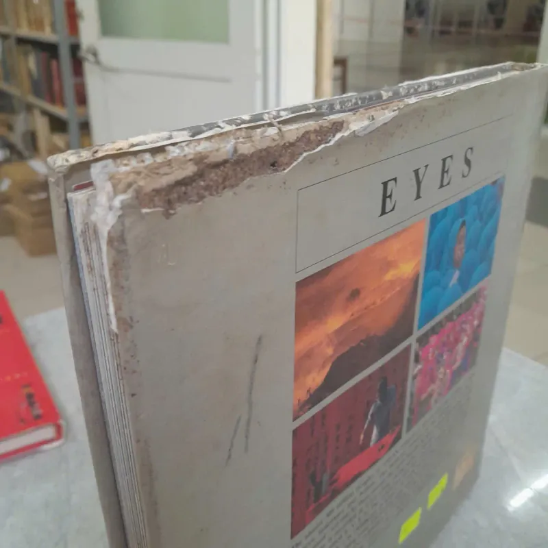 EYES - ĐÔI MẮT 752417