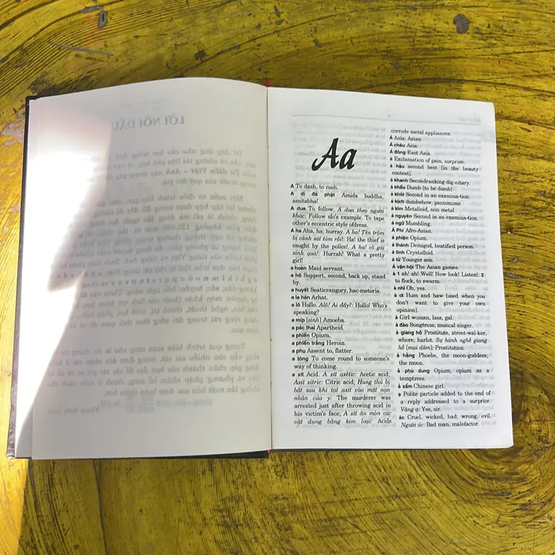 TỪ ĐIỂN VIỆT- ANH VIETNAMESE- ENGLISH DICTIONARY  719568