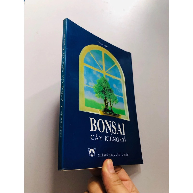 BONSAI CÂY KIỂNG CỔ 509623