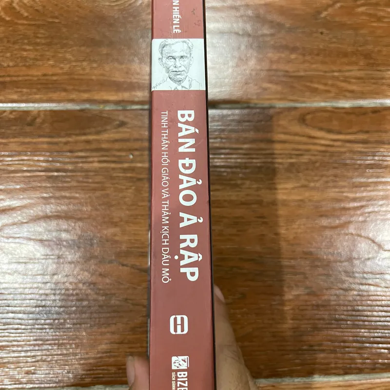 BÁN ĐẢO Ả RẬP - TINH THẦN HỒI GIÁO VÀ THẢM KỊCH DẦU MỎ  (15) 564323