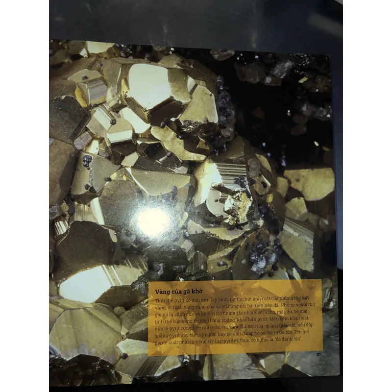 Đá quý và khoáng sản - Bách khoa toàn thư bằng hình ảnh với hơn 1000 mẫu vật  718393