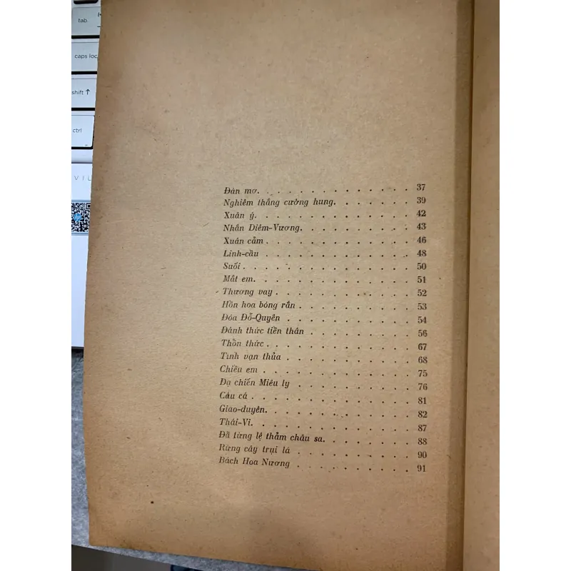 SAO RƠI - TRÚC SĨ 933785