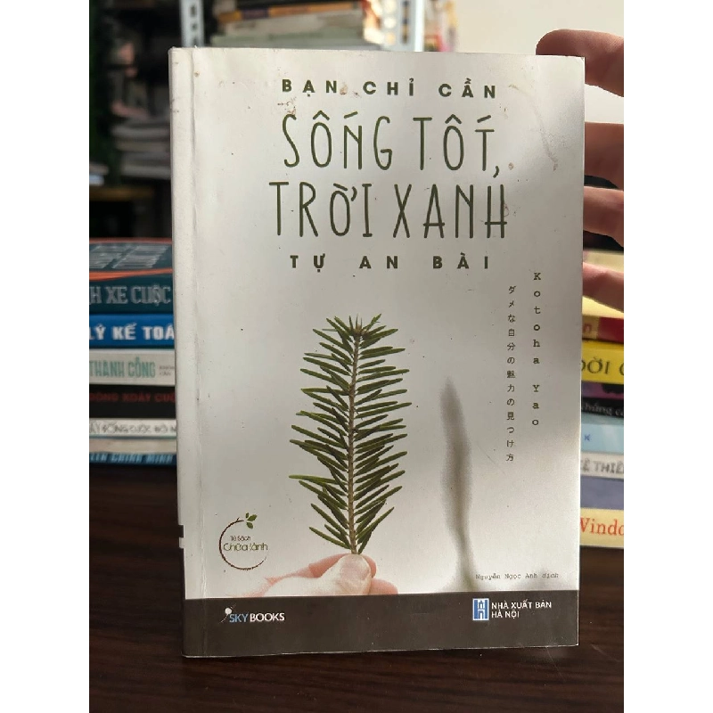 Sống Tốt, Trời Xanh - Tự An Bài - Tự An Bài 1008201