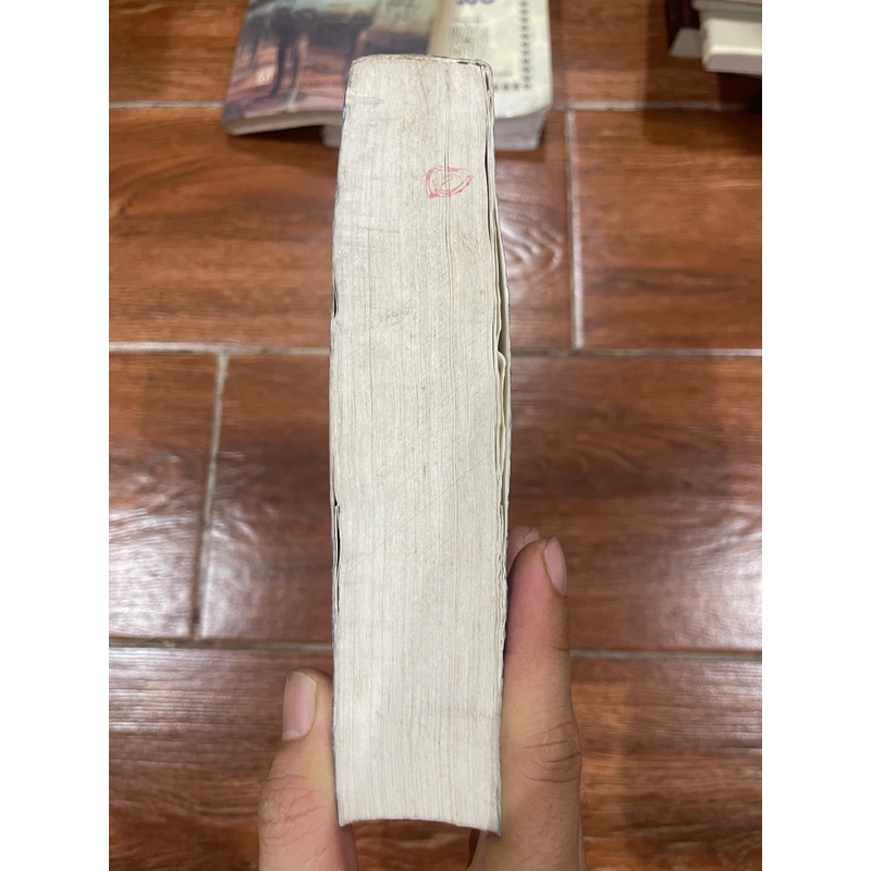 Văn hóa và lịch sử các dân tộc trong nhóm ngôn ngữ Thái Việt Nam (6) 538887
