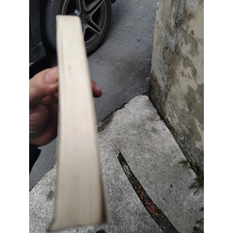 Nhà nho tài tử và văn học Việt Nam GS Trần Ngọc Vương  1036730