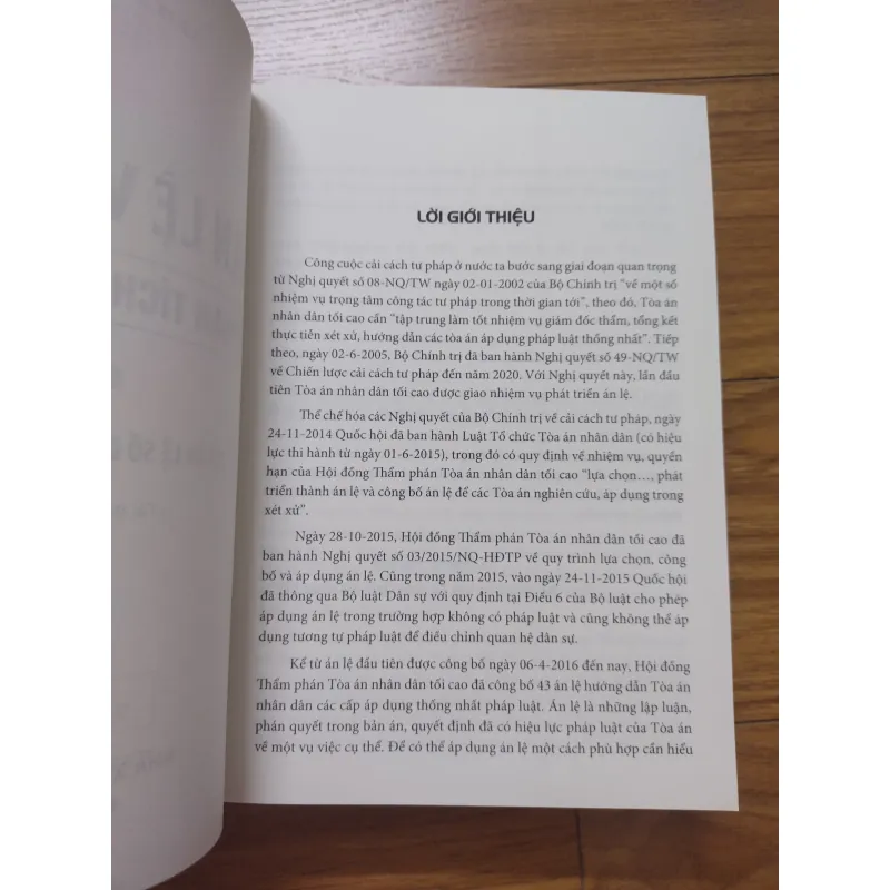 Sách: Án lệ Việt Nam - Phân tích và luận giải - TG: LS TS Lưu Tiến Dũng 736806