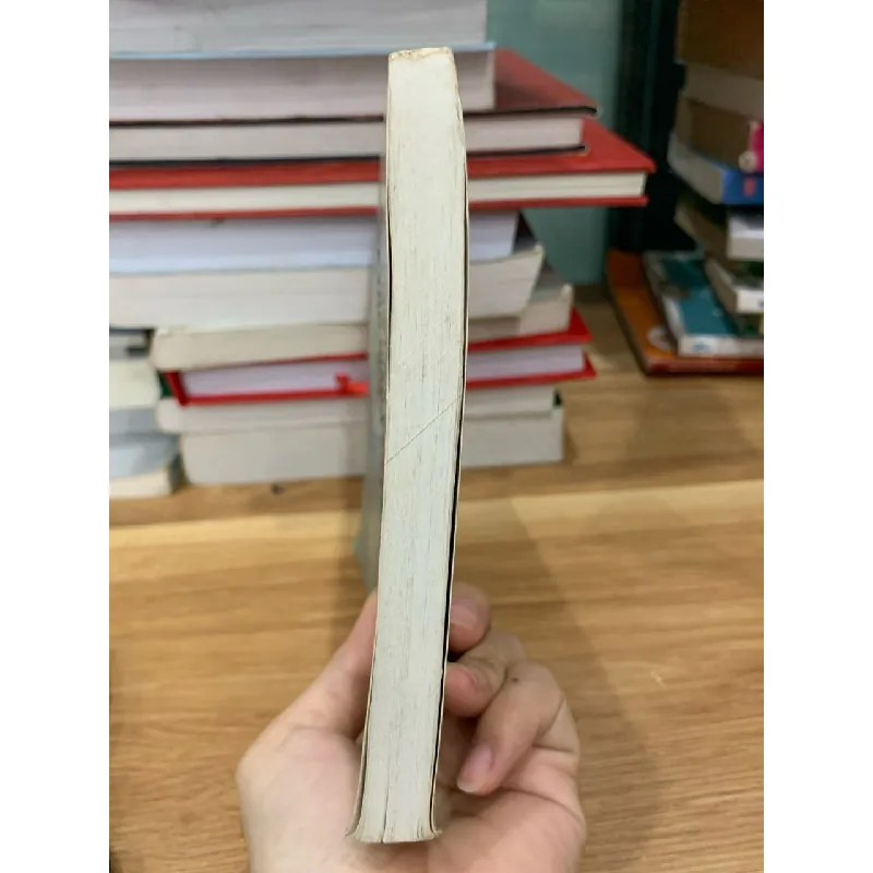 Một số chuyên đề về tôn giáo và chính sách tôn giáo ở Việt Nam 718342