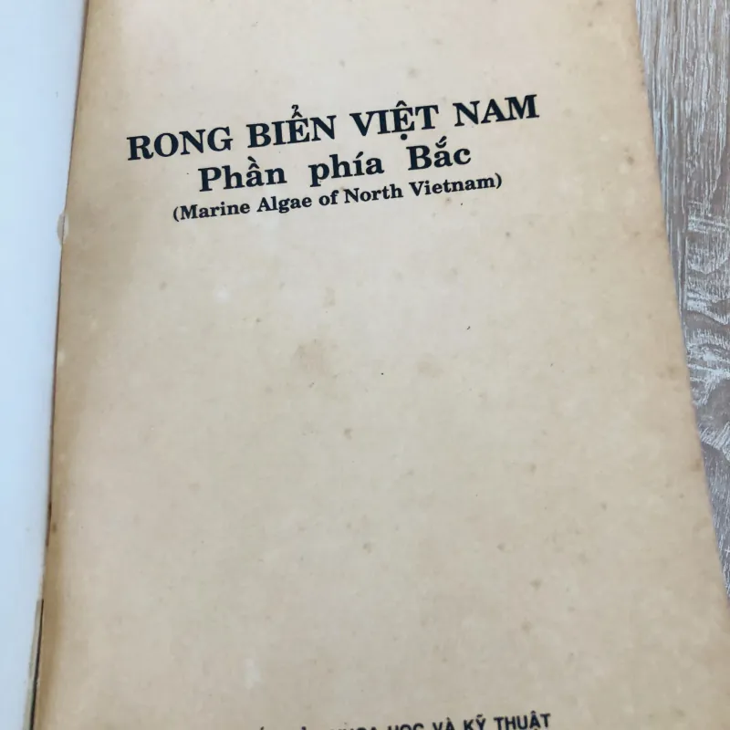 RONG BIỂN VIỆT NAM ( Phần phía Bắc) 956975