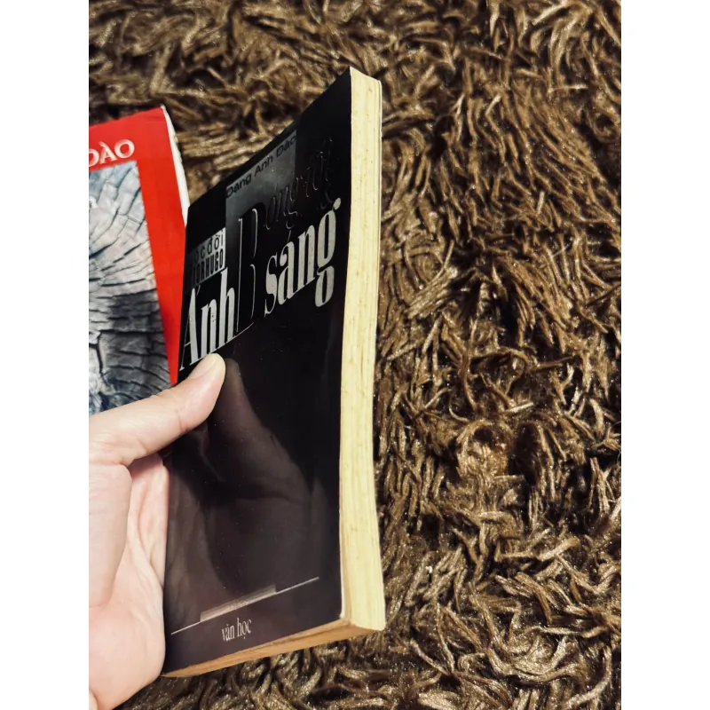 Combo 2c Đặng Anh Đào 1022447