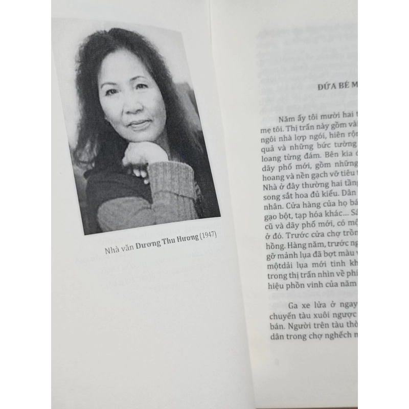 Quầng trăng lơ (Dương Thu Hương) 464406