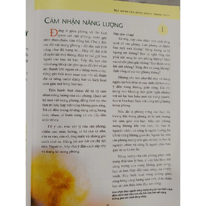 Phong thủy đem lại sức sống cho bạn - Lillian Too (Nguyễn Mạnh Thảo dịch) 477729