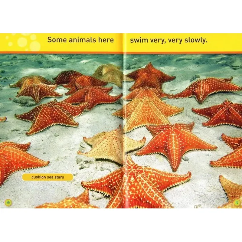 National geographic (Sách nhập) - Pre K - 30 quyển + File Mp3 759648