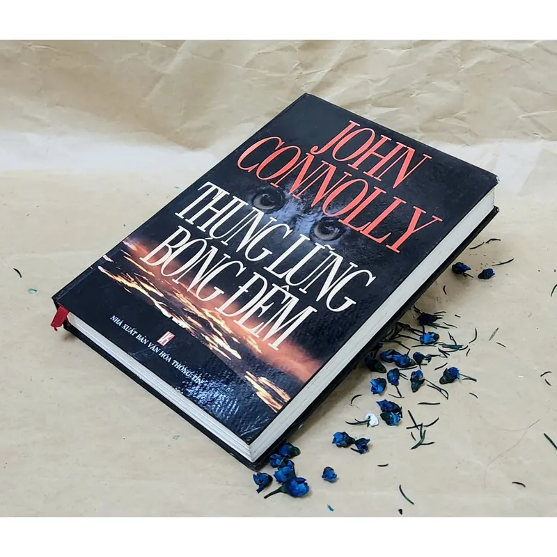 Tiểu thuyết THUNG LŨNG BÓNG ĐÊM, tác giả: John Connolly 704335
