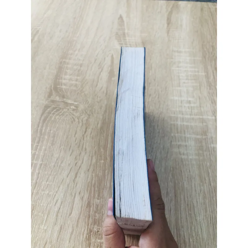 VIỆT NAM VĂN MINH SỬ CƯƠNG - VĂN MINH ĐẠI VIỆT 991250