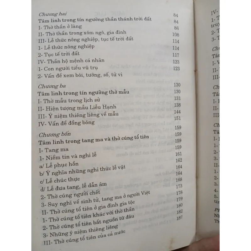 VĂN HÓA TÂM LINH - NGUYỄN ĐĂNG DUY 736486