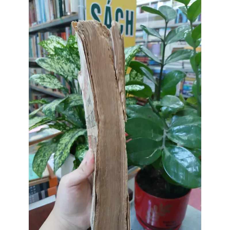 NGƯỜI ĐÀN BÀ TRONG TƯỚNG MỆNH HỌC - VŨ TÀI LỤC 748761