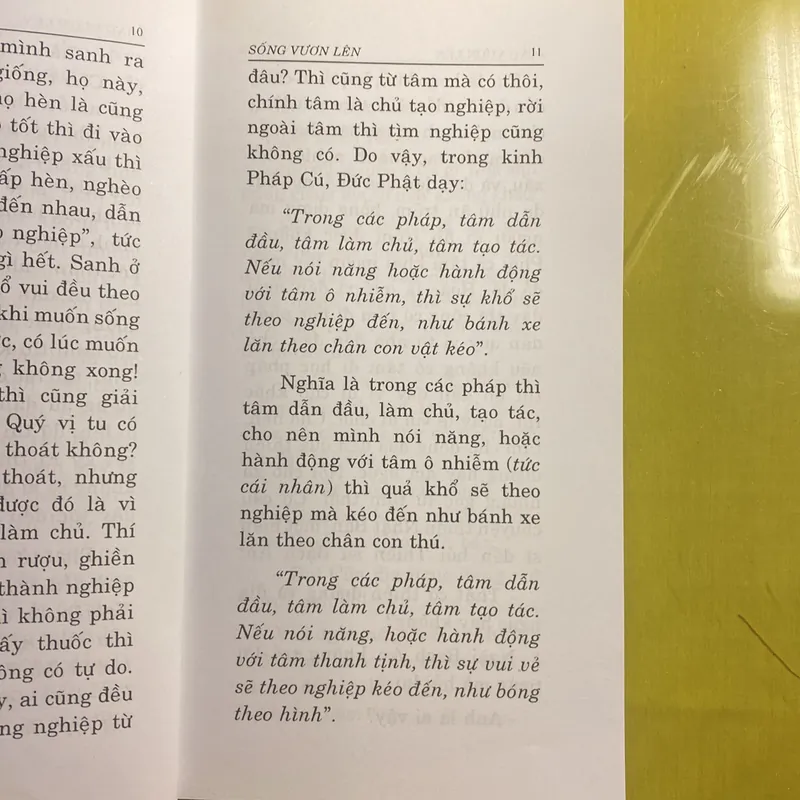 Sống Vươn Lên - Thích Thông Phương - Thiền Viện Trúc Lâm 680982