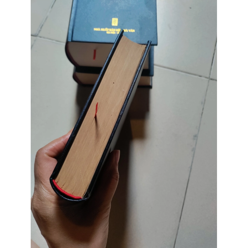 Lịch sử Việt Nam 518568