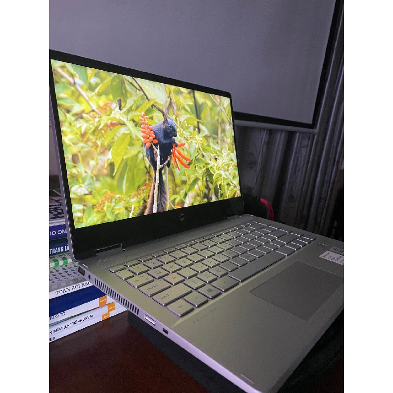 Bán laptop HP pavillion màn cảm ứng Core I7 gen 10 Ram 8Gb Ssd 512gb 6442