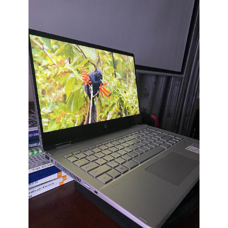 Bán laptop HP pavillion màn cảm ứng Core I7 gen 10 Ram 8Gb Ssd 512gb 6442