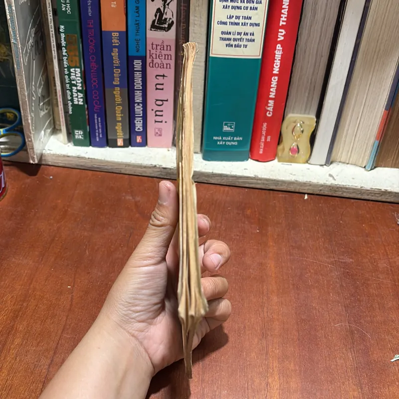 [Sách 8x] - II Văn Học Lịch Sử: Người Phụ Nữ Mới - 1985 797584