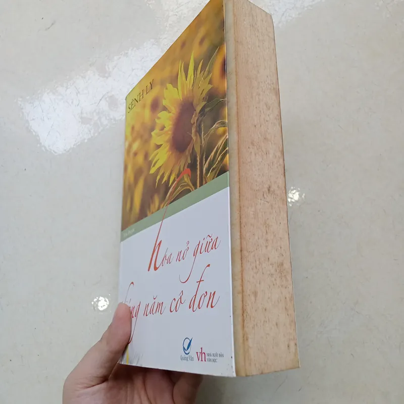 Hoa nở giữa tháng năm cô đơn 📚 734668