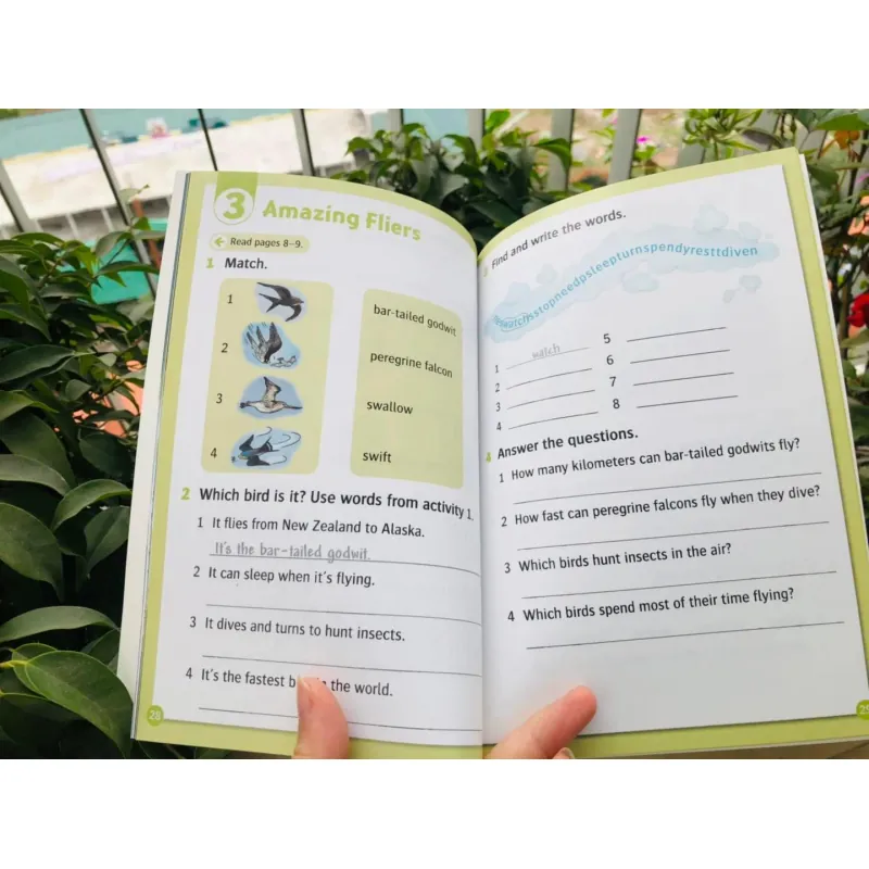 Oxford read and discover (Sách nhập) - Level 3 - 20 quyển + File Mp3 1038351