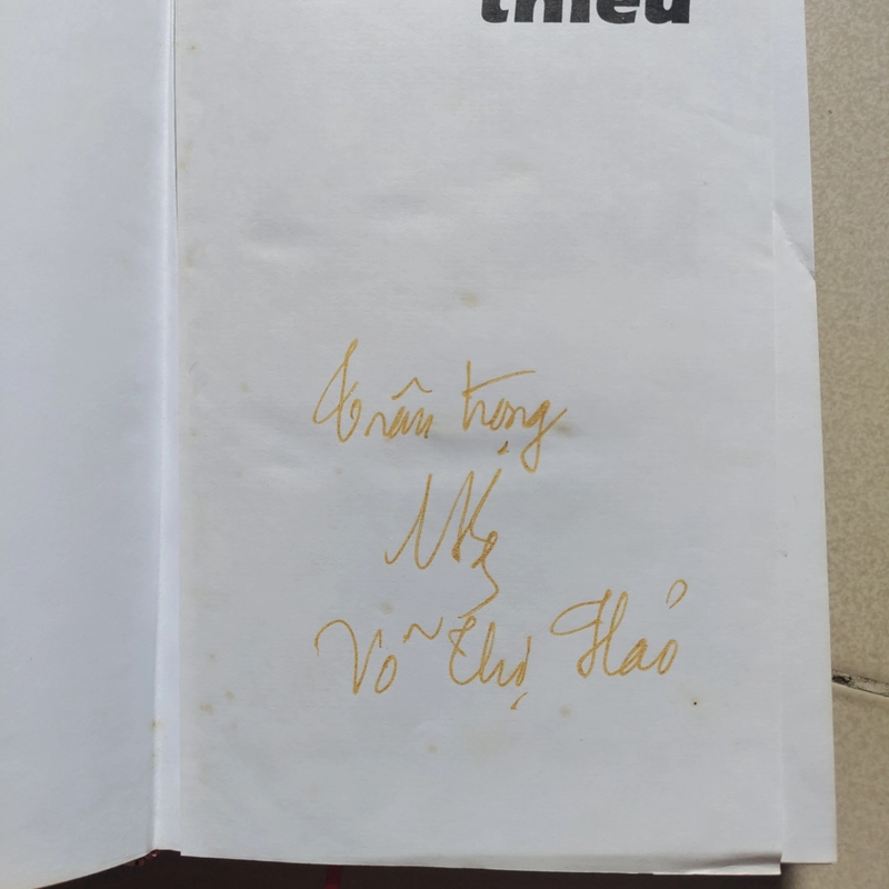 Tiểu thuyết Giàn Thiêu của Võ Thị Hảo 471964