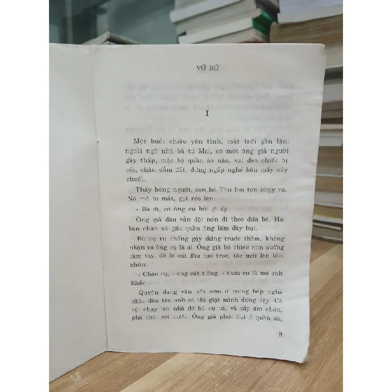 Vỡ bờ (Tập II) — Nguyễn Đình Thi 589385