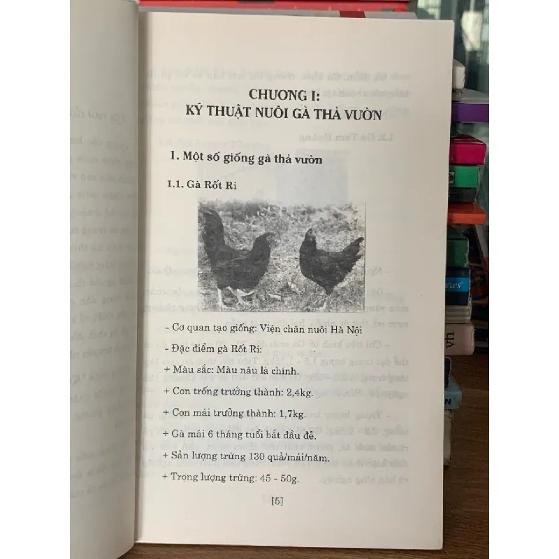 Kỹ thuật nuôi gà – Hoàng Tiến Lợi 561324