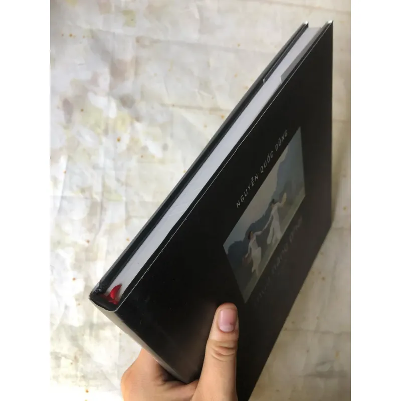 Artbook Mùa Nắng Phai - Nguyễn Quốc Dũng 736204