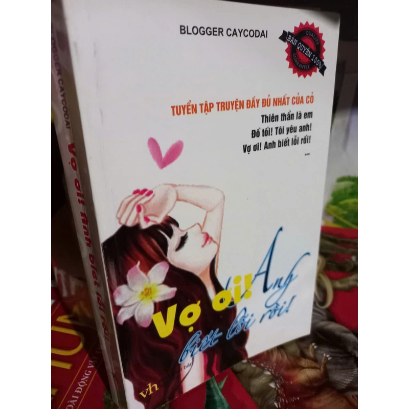 vợ ơi anh biết lỗi rồi 531009