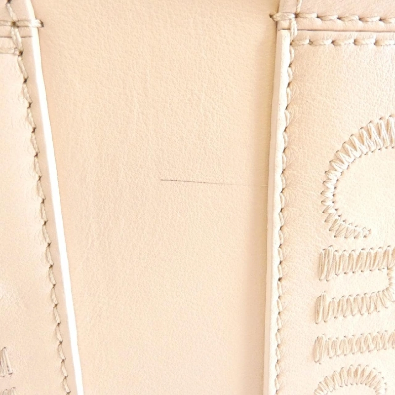 Túi xách nhỏ Woody Chloe CHC23US397 I60 608984