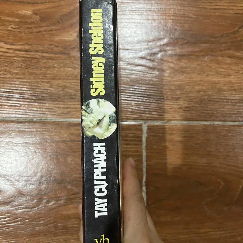 Tay cự phách - Sidney Sheldon (12) 1047068