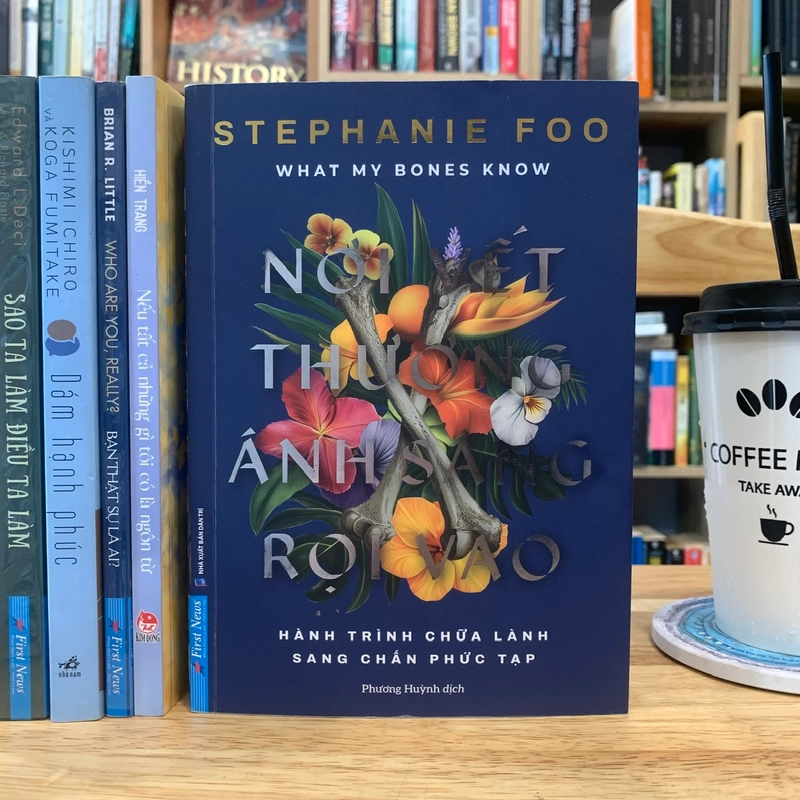 Nơi vết thương ánh sáng rọi vào - Stephanie Foo 541739