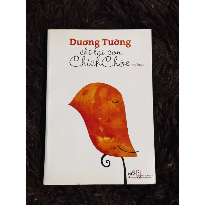 Chỉ tại con chim chích choè 933806