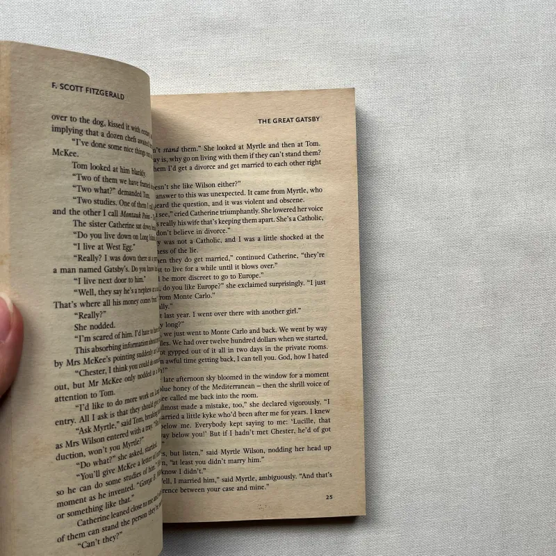 The Great Gatsby - F. Scott Fitzgerald  933185