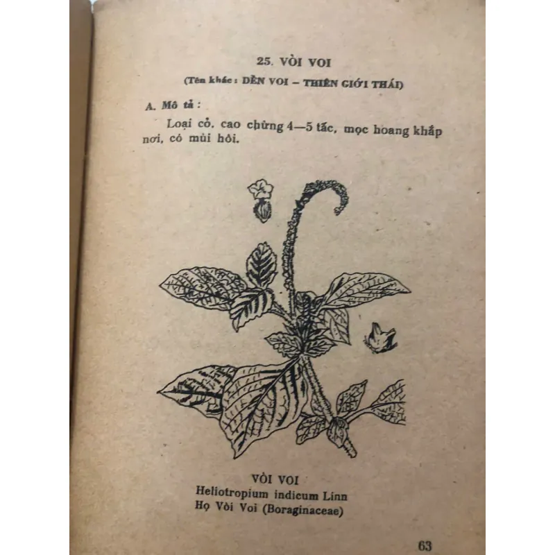 Cây thuốc và bài thuốc trị bảy bệnh thông thường – Nhiều tác giả 998411