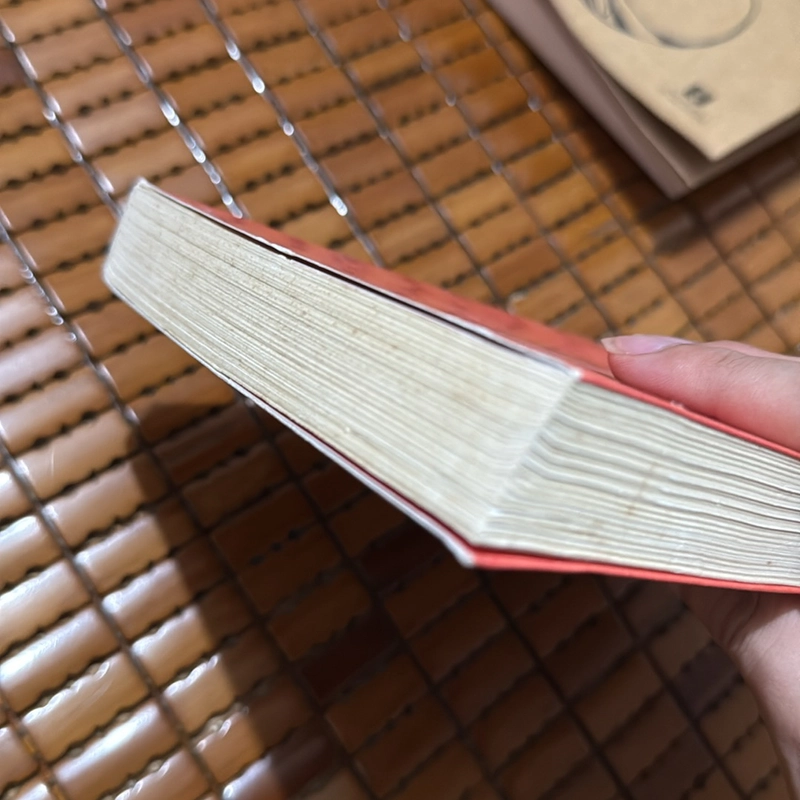Totto Chan bên cửa sổ - Kuroyanagi Tetsuko 498783