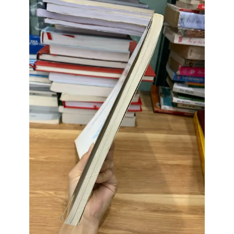 REGIONAL INTEGRATION PROCESS AND CHALLENGES 718319