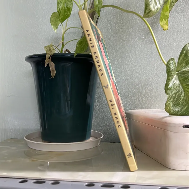 Nỗi nhục - Annie Ernaux 746492