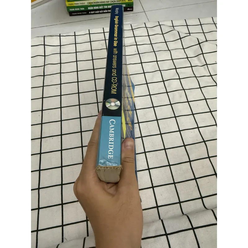 English grammar in use  657724